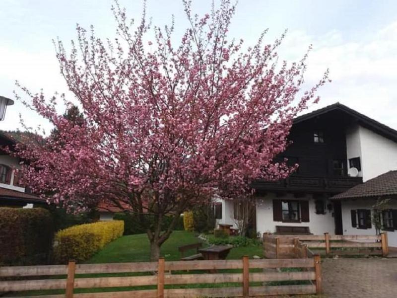 Gipfelblick Am Woessner Bach Unterwoessen